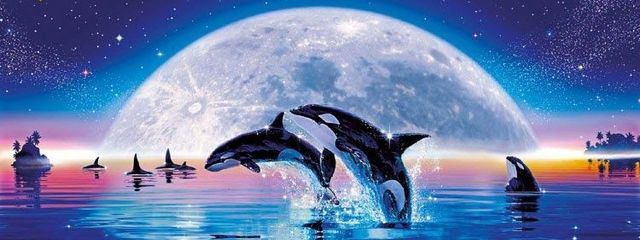 orcaさんの壁紙画像