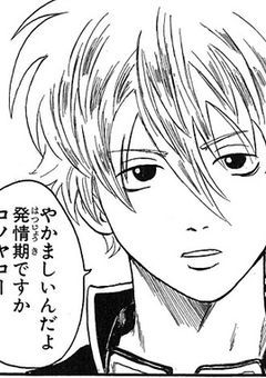 妹を尋ねて三千里