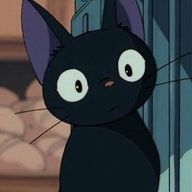 涼 音 。さんのアイコン画像