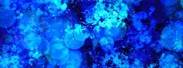 弟切レイさんの壁紙画像