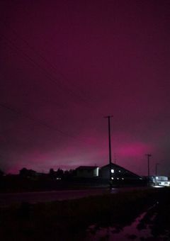 　好きにシて　！