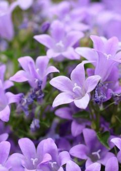 STPRの皆さんに愛されてます