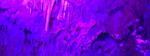 プチプチさんの壁紙画像