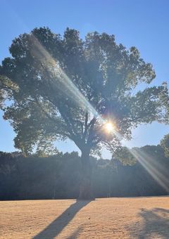 密かな殺人と影で生まれる愛