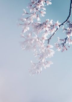 あはは