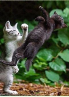 愚痴・病み部屋