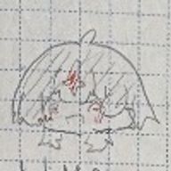 フック@みょい!さんのアイコン画像