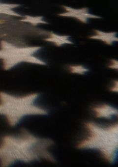 　大 人 気 モ デ ル の 薬 指 .