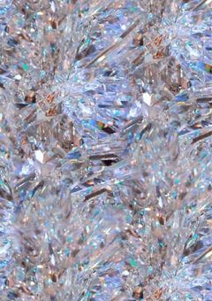 　フ ァ ン サ だ い す き 紅 一 点 .