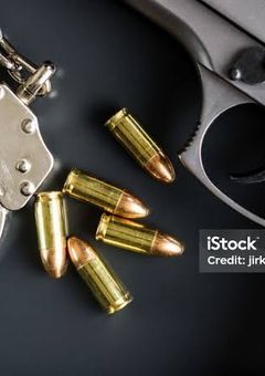 特殊捜査官