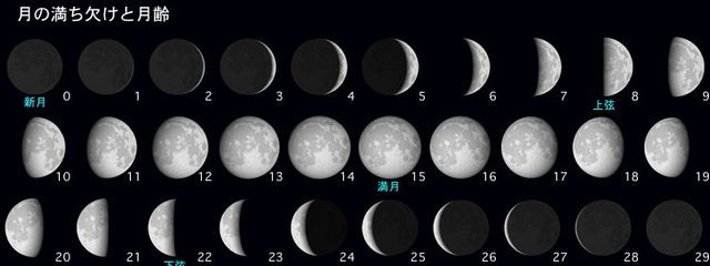 あぽろ115号   フォロバ100%さんの壁紙画像