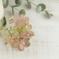 hsさんのアイコン画像