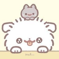 k!!raさんのアイコン画像