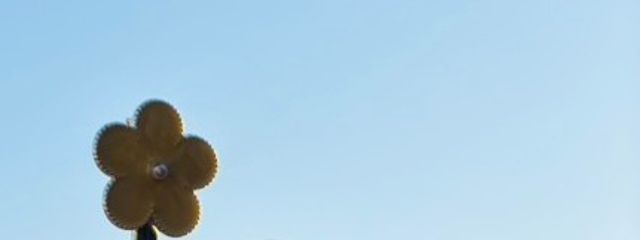 鈴月りん @1週間一人称俺&名前変更&画像変更さんの壁紙画像