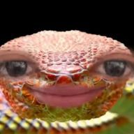 わさんのアイコン画像