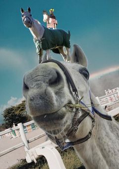 馬術部の日常日記！🐴🌱‬