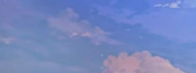 桜樹夢羽さんの壁紙画像
