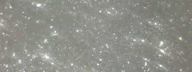 もり。さんの壁紙画像