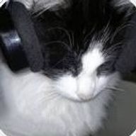 qc       （不定期更新🐢）さんのアイコン画像