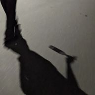 3zkさんのアイコン画像