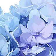 ♔ 莉雨#光の傷跡を癒す霧雨さんのアイコン画像