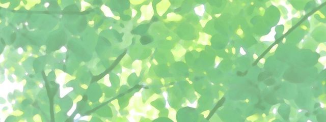 LEO  (バリバリ偽名です)さんの壁紙画像