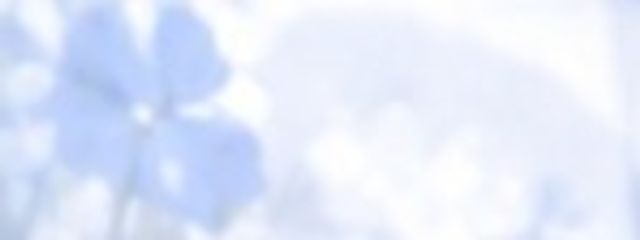 蒼空❀𓂃 𓈒𓏸さんの壁紙画像
