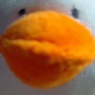 体感36℃さんのアイコン画像