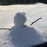 見てるだけで作らない暇人さんのアイコン画像