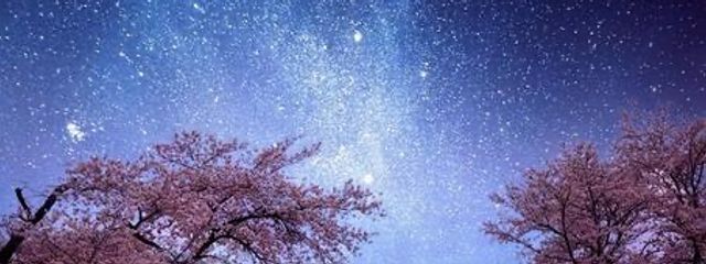 星さんの壁紙画像