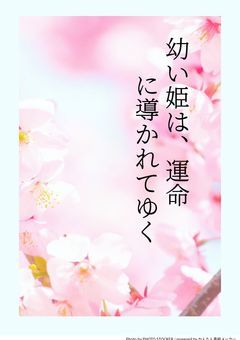 幼い姫は、運命に導かれてゆく