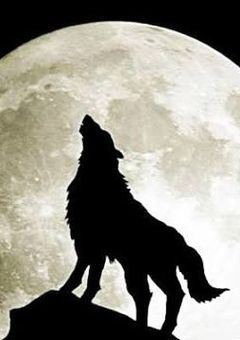 リアル人狼ゲーム【夏コラ参加型】〆