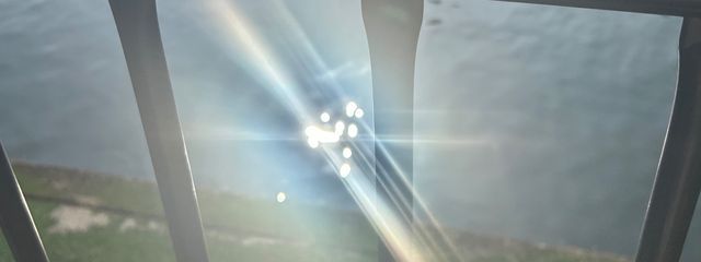 え、犬猿を見る為だけに生まれてきたっけ？のサブさんの壁紙画像