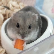 メイさんのアイコン画像