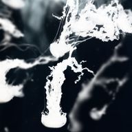 m.y.さんのアイコン画像