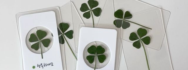 roroさんの壁紙画像