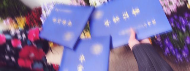 ✝︎ さんの壁紙画像