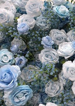 『   魔術師が咲かす青薔薇   』