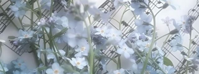 𝙺𝙰𝙱𝙴𝙽　.さんの壁紙画像