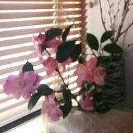 奈留美さんのアイコン画像