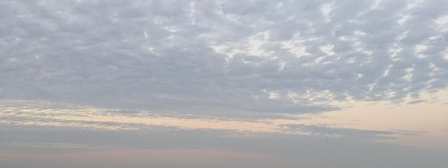 まゆ♡🍏🍏さんの壁紙画像