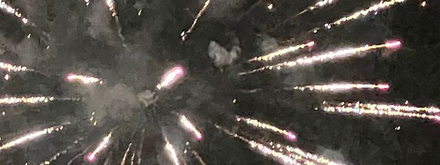 わわわわさんの壁紙画像