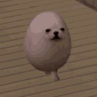 花粉症じゃないですサメミアですさんのアイコン画像