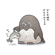 花粉症じゃないですサメミアですさんのアイコン画像