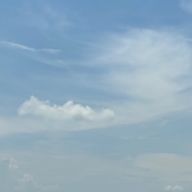 犬さんのアイコン画像