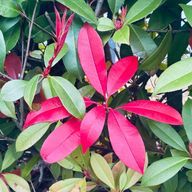 ゆで卵🐰さんのアイコン画像