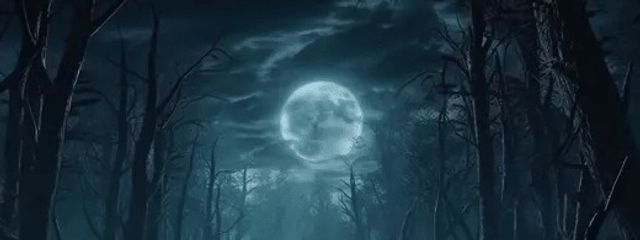 月下さんの壁紙画像