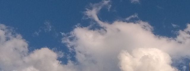 Kikyo_ꫂ&nbsp;ၴႅၴさんの壁紙画像