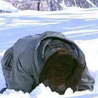 頭が✋さんのアイコン画像