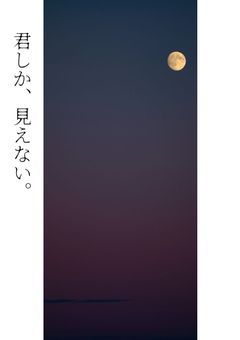 君しか、見えない。　［更新停止］